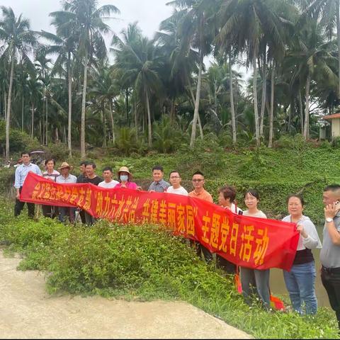 白延村委会党建引领“六水共治” 持续共建美丽白延