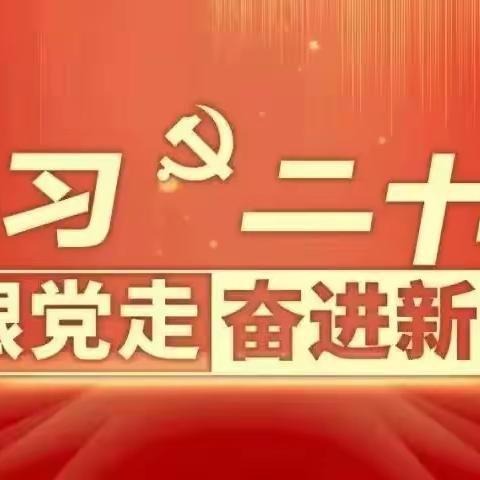 魏北街道办事处学习贯彻党的二十大精神基层宣讲活动