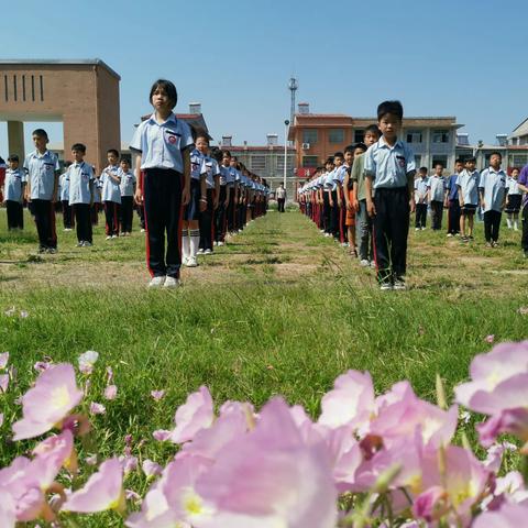 健康·阳光·向上——安国镇中心小学“两操、路队、大课间活动”观摩评比特辑