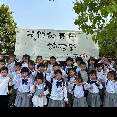【寻春来，踏青去】——春稻田喜洋洋幼儿园禾苗A班户外春游活动
