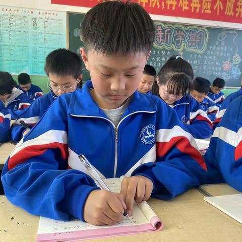 【马兰头小学  书法进行时】练字不停，进步加速——练字篇