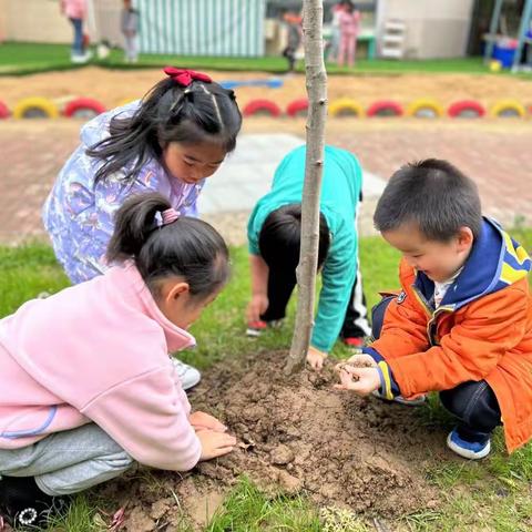 “泥”好呀——宿迁市实验小学幼儿园中五班班本课程