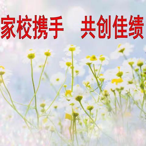 春风化雨润万物，家校共育助成长！翟泉小学召开新学期家长会