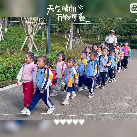 “童”拾秋忆，秋日漫游季 呈贡区第六幼儿园殷实园区  中一班