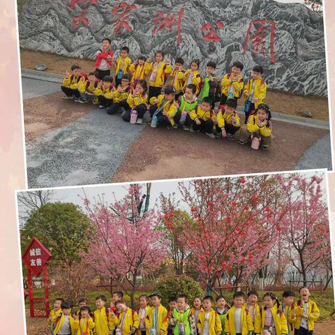 学二班的美篇