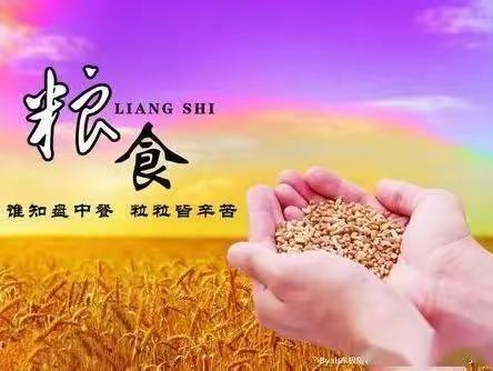 李天木学校开展“珍惜粮食，感恩营养餐”活动纪实