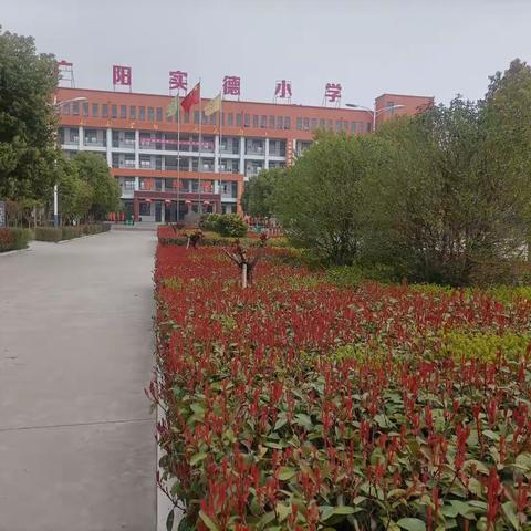 珍爱生命，预防溺水———广阳实德小学防溺水安全教育