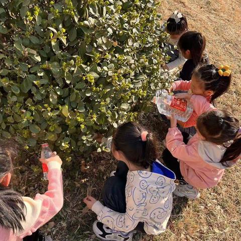 安安幼儿园 —— 相逢植树节🌱爱在春风里❤️