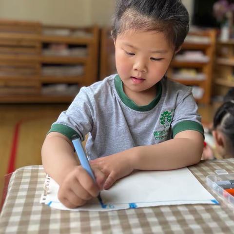 乐源幼儿园芳缇娜班李洛一成长档案