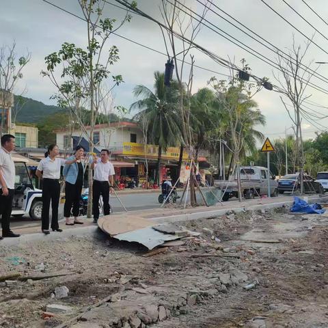 吉阳区区委副书记傅爱红到安罗村实地查看了安游路两边绿化施工等工作推进情况工作简报