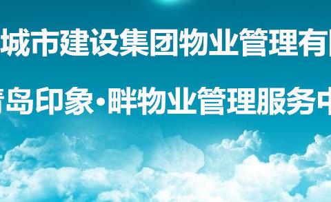 【简报】城建鼎都2024年2月工作月报