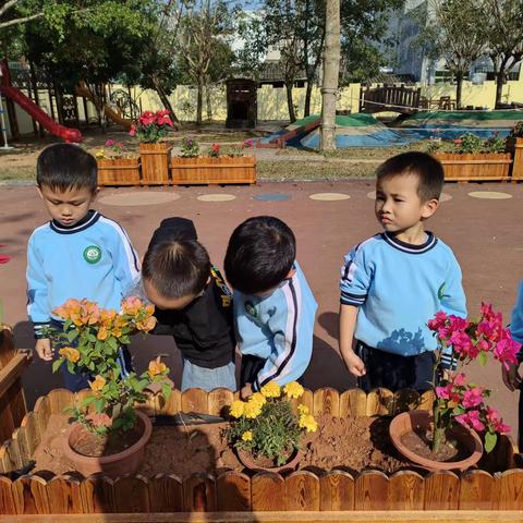 “欢度植树节”🌵🌵幼儿园植树节活动