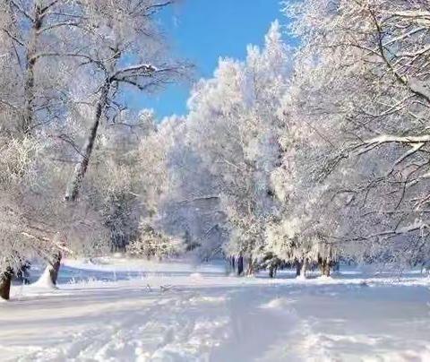 行动是最好的除雪剂