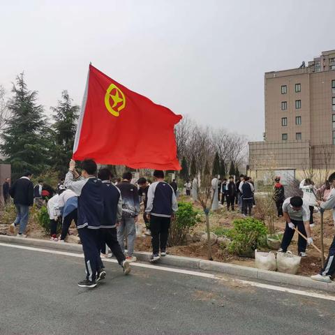 泗水二中开展“栽种一春新绿，收获美好梦想”暨党建带团建植树活动。