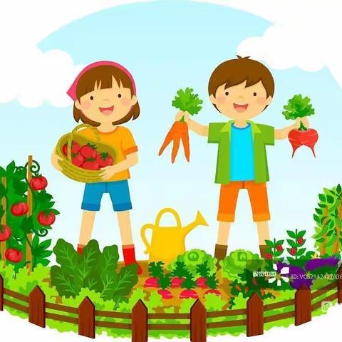 【种植爱心菜园，促进健康与团结】蒙古族学校三年级四班拼搏小组