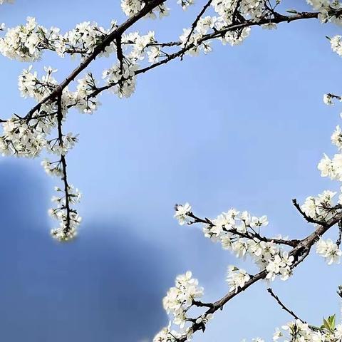 春暖花开季 温情女神节