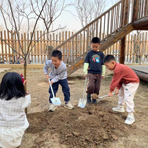 “呵护绿色 放飞梦想”——河间市第一城幼儿园植树节