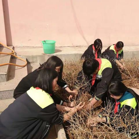 [清明节]  沂城街道初级中学