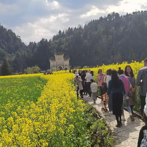 新建镇——志愿服务永不止，奋斗拼搏为发展。