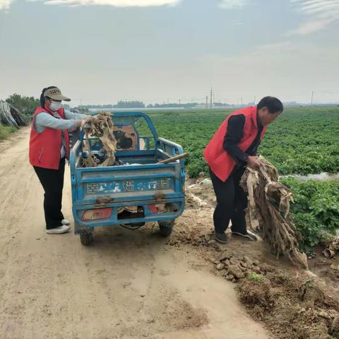 刘所村清理路边的地膜，药瓶子和药袋子，美化环境，清洁路边，给村民一个出行方便的生产路。