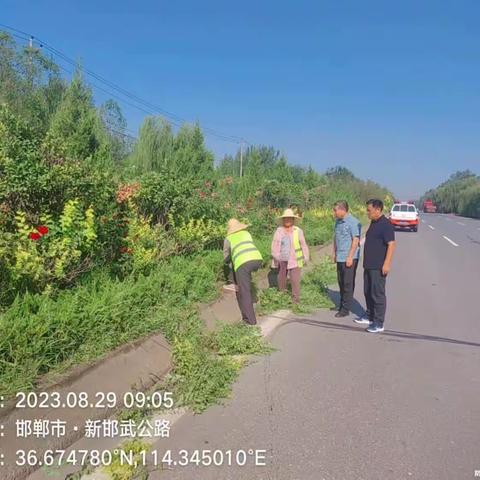 丛台区路域环境整治常态化