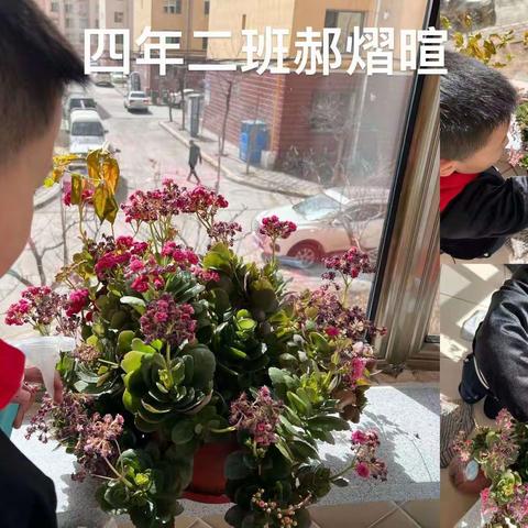 “植”此青绿，不负春光！——北重一小四年二班植树节主题活动