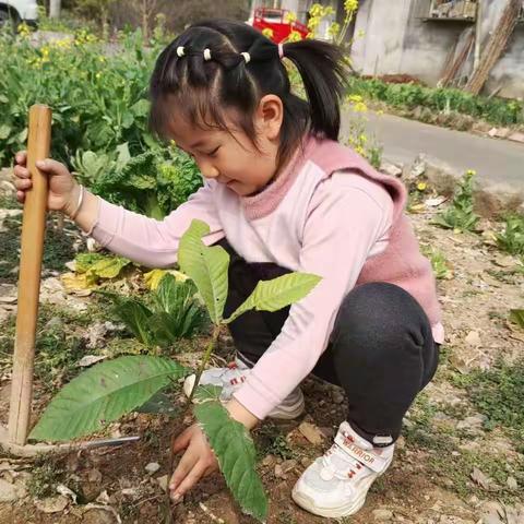 美化校园环境，播种一份绿色——陈家坝小学附属幼儿园植树节活动