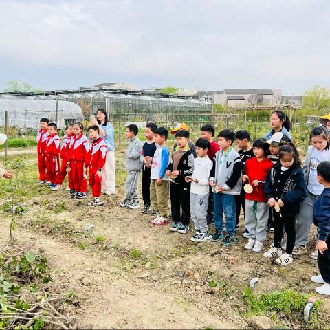 “植”此青绿 约定春天——杭师大经开附小（丰园校区）301中队