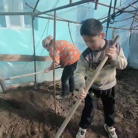 昭苏县克西克洪纳海小学——小手拉大手，推广普通话~植树节篇