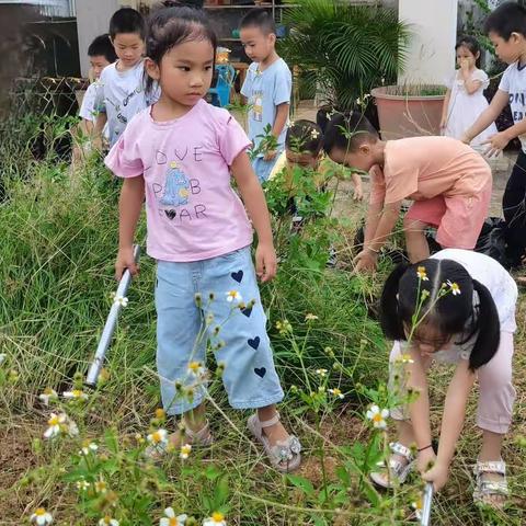 （丽梅）太阳二班种植小记