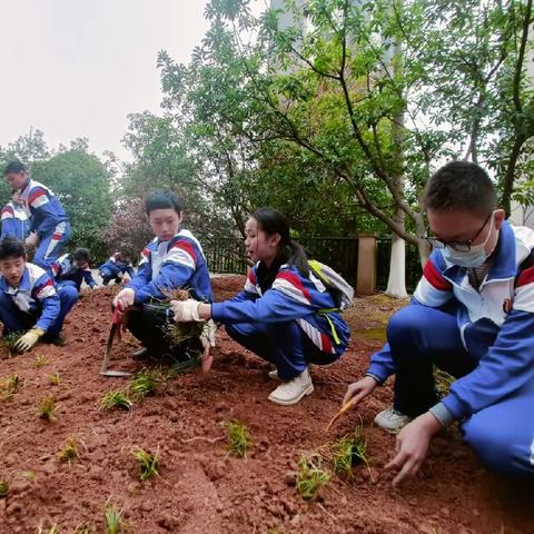 2023年3月学雷锋活动