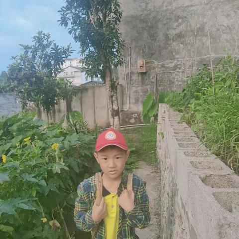暑假社会实践活动——红领巾爱劳动篇