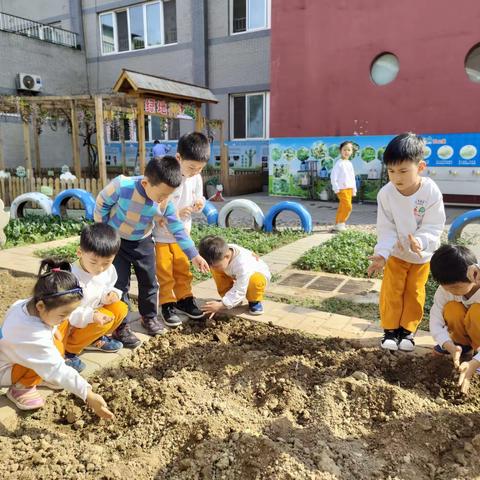 春风十里，正“植”有你——呵护宁静和谐美丽秦岭