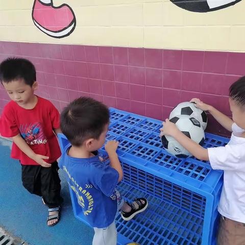 幼儿园一周精彩回顾
