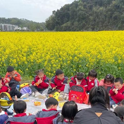 拥抱春天，快乐“童”行——许村镇中心幼儿园春游活动