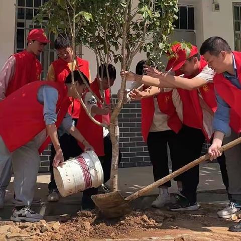 拥抱春天，播种绿色——木兰中小学3.12植树节活动