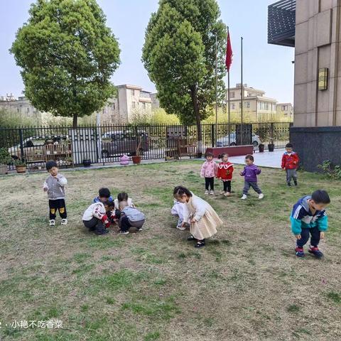 德馨国学幼儿园呗呗班周总结