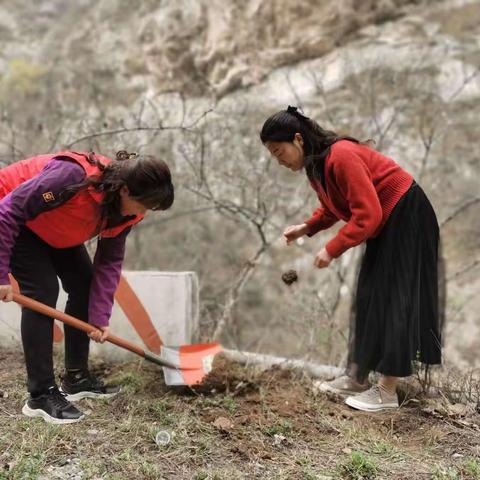 【豫灵教育】豫灵镇董社小学：相逢植树节 爱在春天里