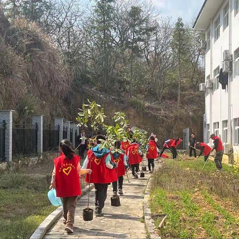 最是一年春光好 植树添绿正当时——记建德市钦堂中心小学植树节系列活动