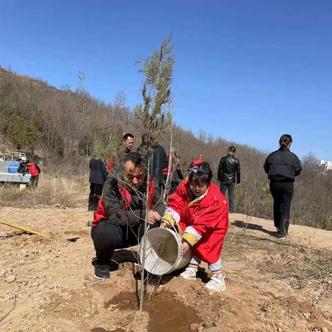 共驻共建聚合力    植树造林绿山川