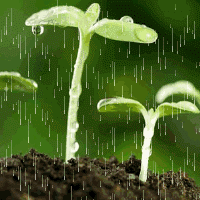 暖春将至🌱“植”得等待