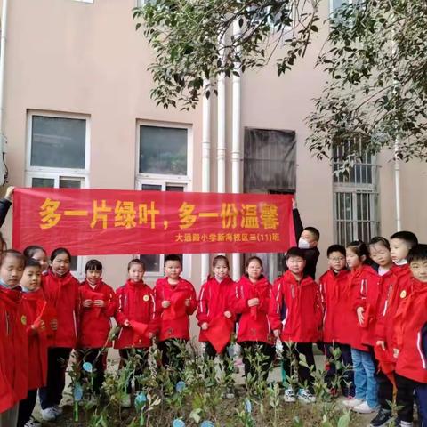 红领巾向未来｜多一片绿叶，多一份温馨 ——合肥市大通路小学三（11）中队植树护绿活动