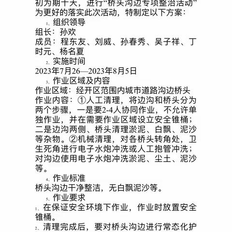 常德中科华宝桥头沟边专项整治活动