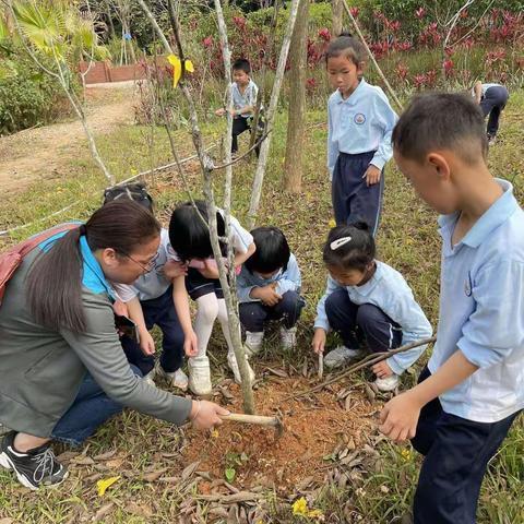 ［一（6）班］爱绿护绿、从我做起