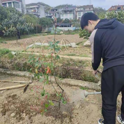 八9班植树节活动