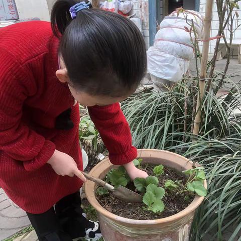 今天是3月12号植树节