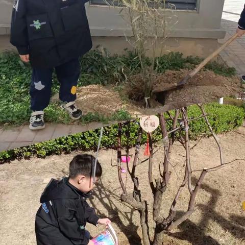 播种希望，“植”得期待———苏师志远学校小学部一二三级部德育作业