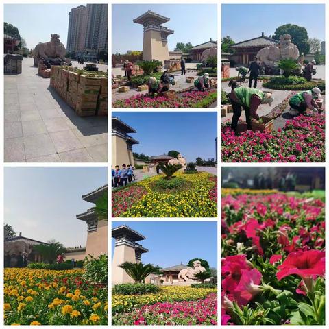 【园林局】赵苑公园门区外广场摆放花坛迎“五一”