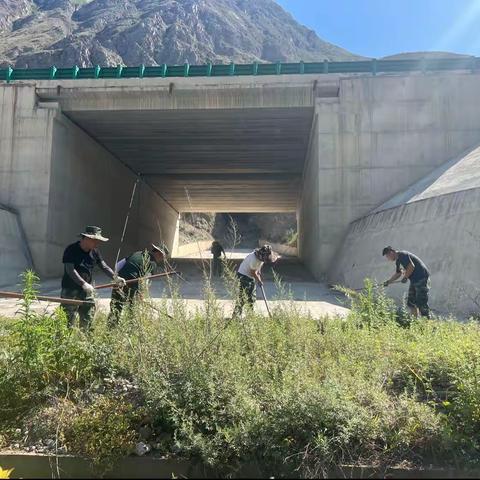 森林草原消防队对生态绿色长廊进行维护和清除杂草拔草工作