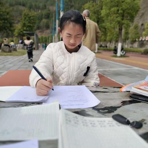 春雨丝丝润万物 红梅点点绣千山 珠海实验小学四一班（阳光小组线下活动）